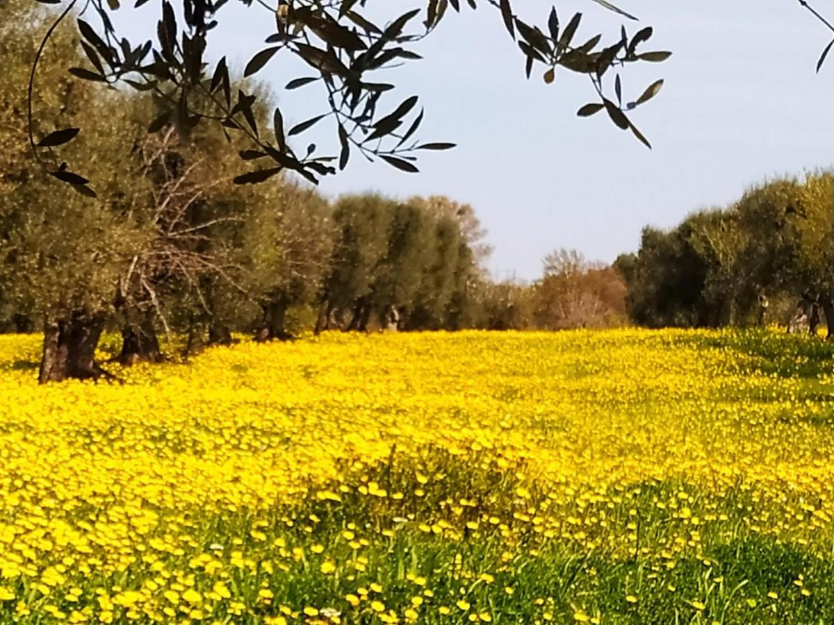 Masseria - Trulli Genius Loci Dimore Monopoli Exterior foto